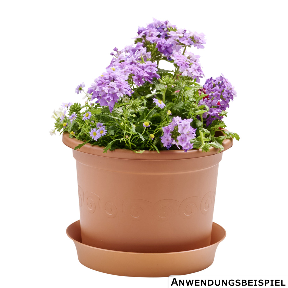 Prosperplast Untersetzer Plastica rund Ø 22 cm in terracotta image number 1