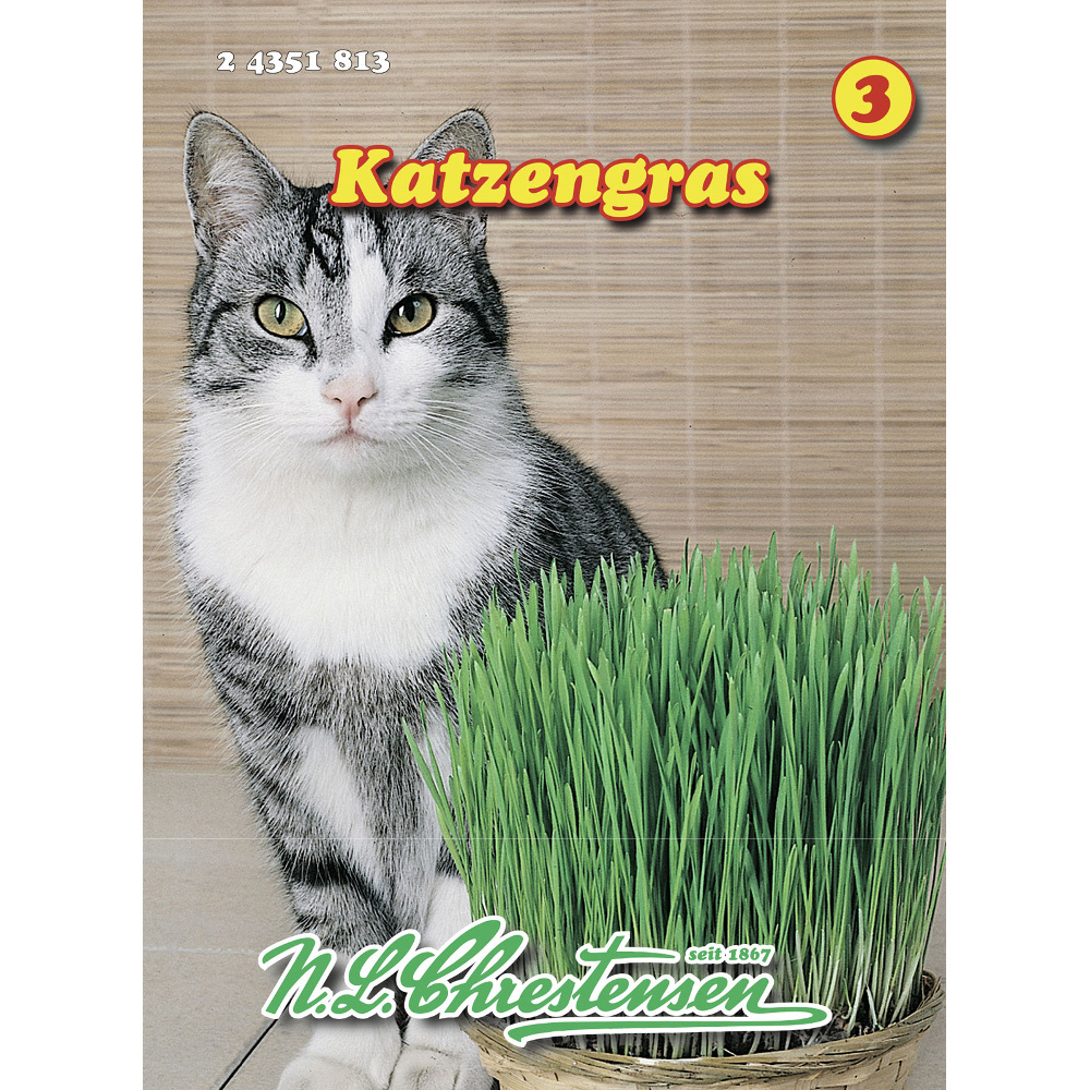 Saatgut Katzengras für ca. 15-20 mittlere Schalen