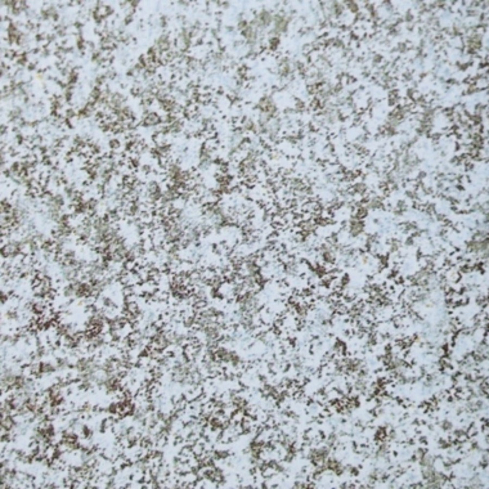 Klebefolie 200x45cm Stein Granit hellgrau Dekofolie Selbstklebefolie Möbelfolie image number 1