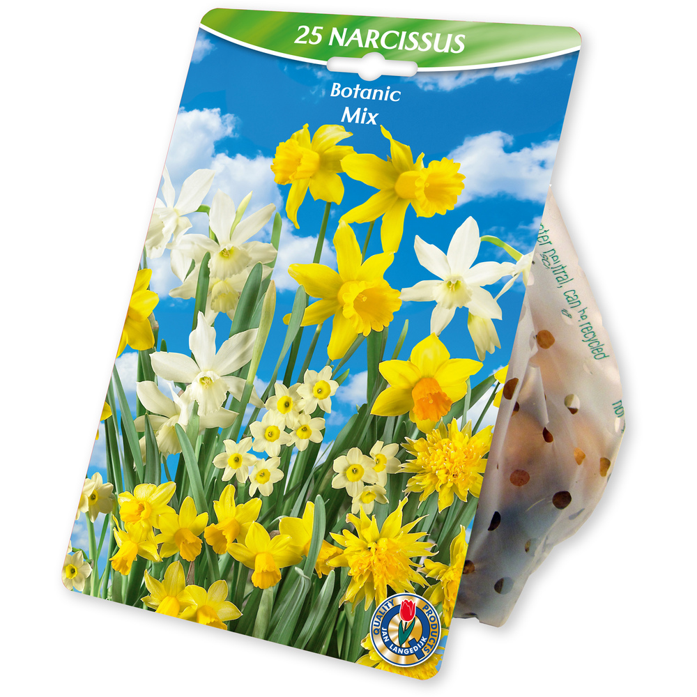 Blumenzwiebeln Narzissen Mix 25 St&uuml;ck mehrfarbig
