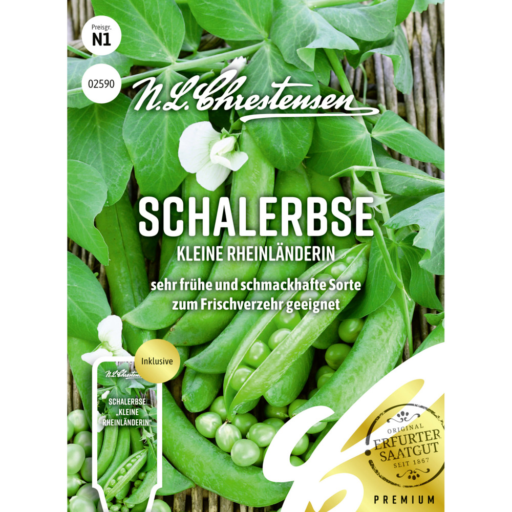 Saatgut Schalerbse Kleine Rheinl&auml;nderin