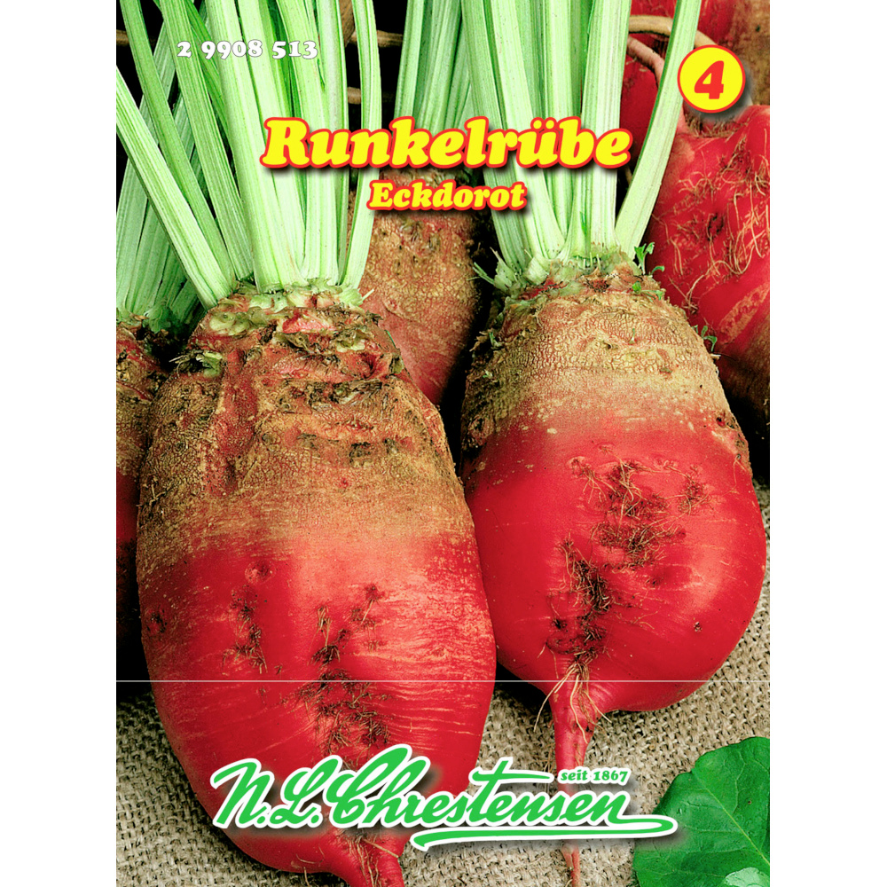 Saatgut Runkelrübe ca. 600 Pflanzen image number 0