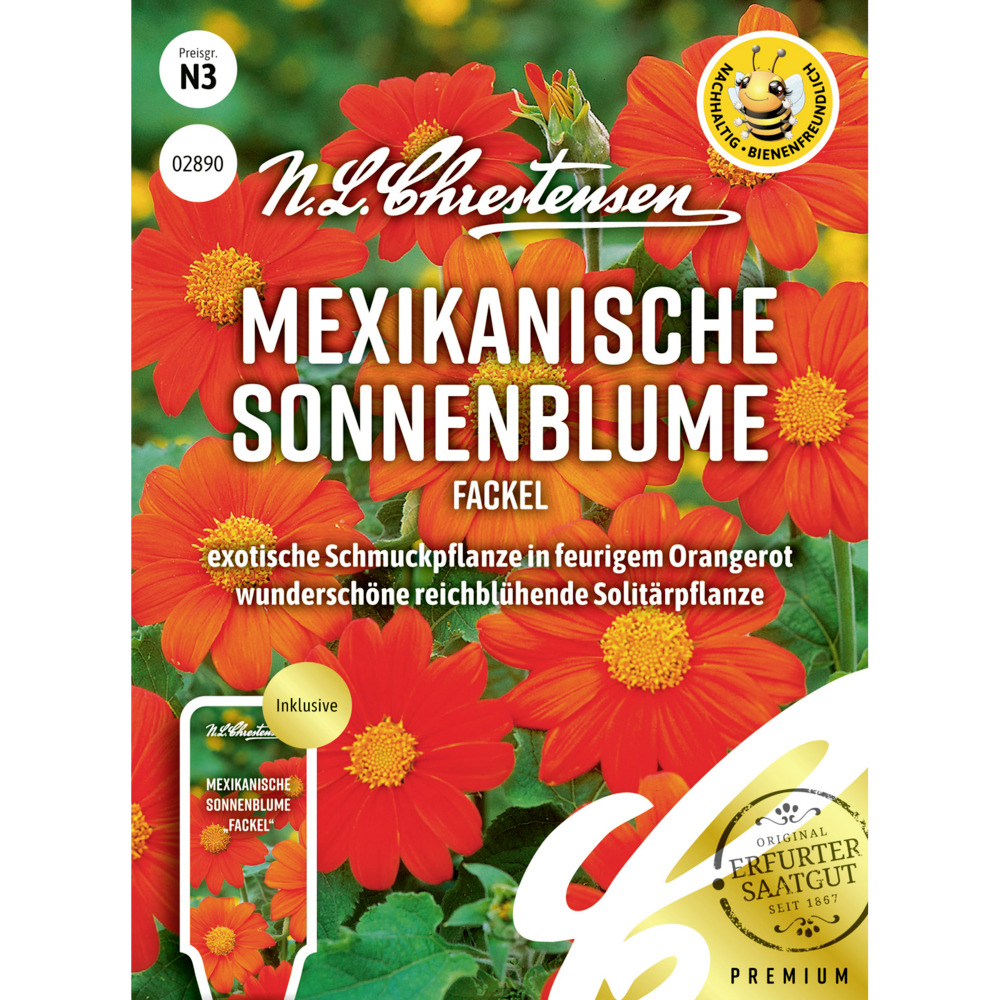 Saatgut Mexikanische Sonnenblume Fackel image number 0