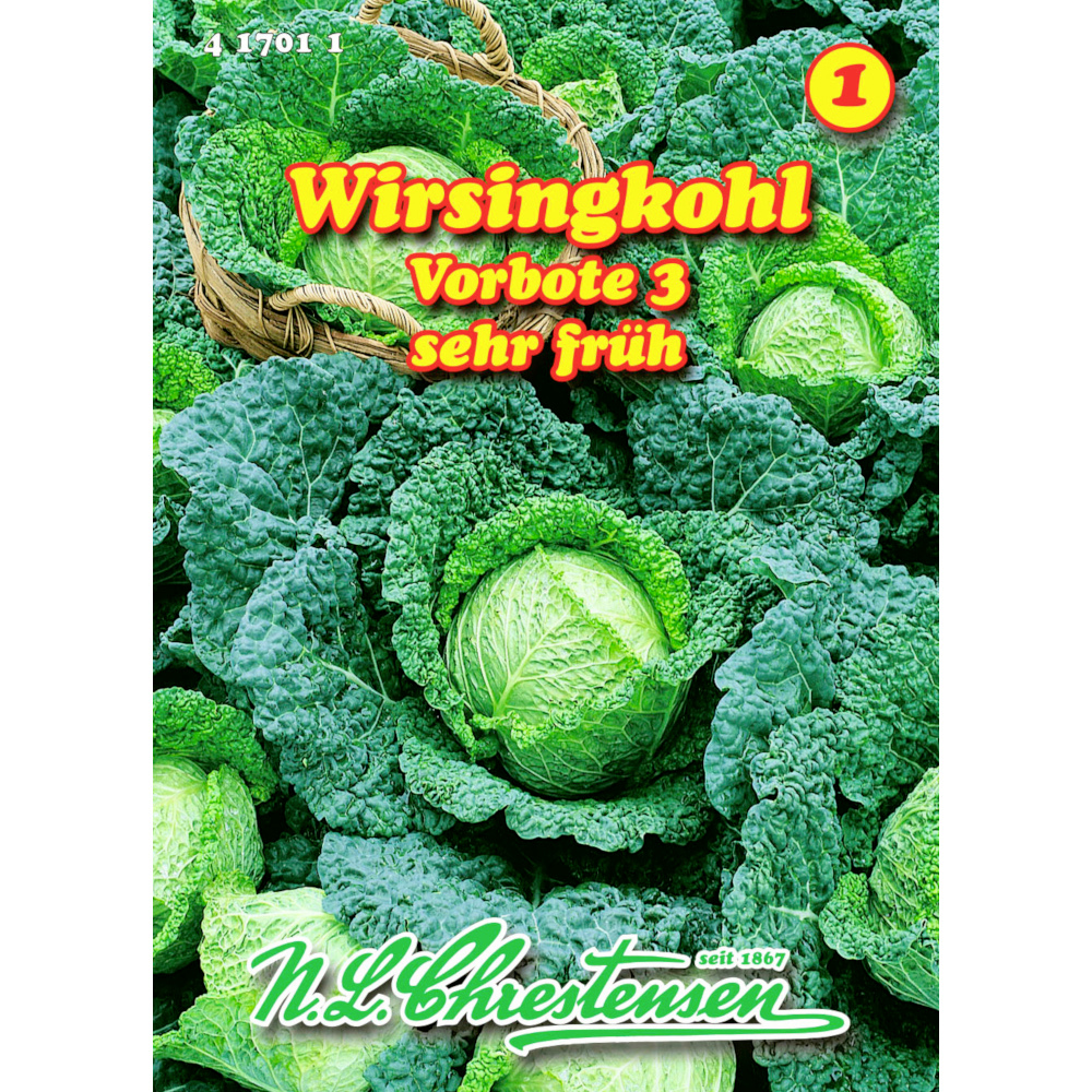 Saatgut Wirsingkohl Vorbote 3 ca. 120 Pflanzen