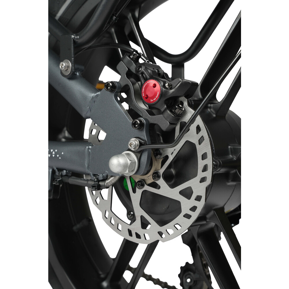 Off-Road E-Bike Maxtron "Camel" 20" dunkelgrau image number 5