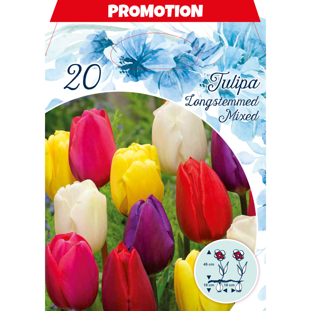 Blumenzwiebeln Tulpen Langstielig Mix 20 Stück bunt image number 0