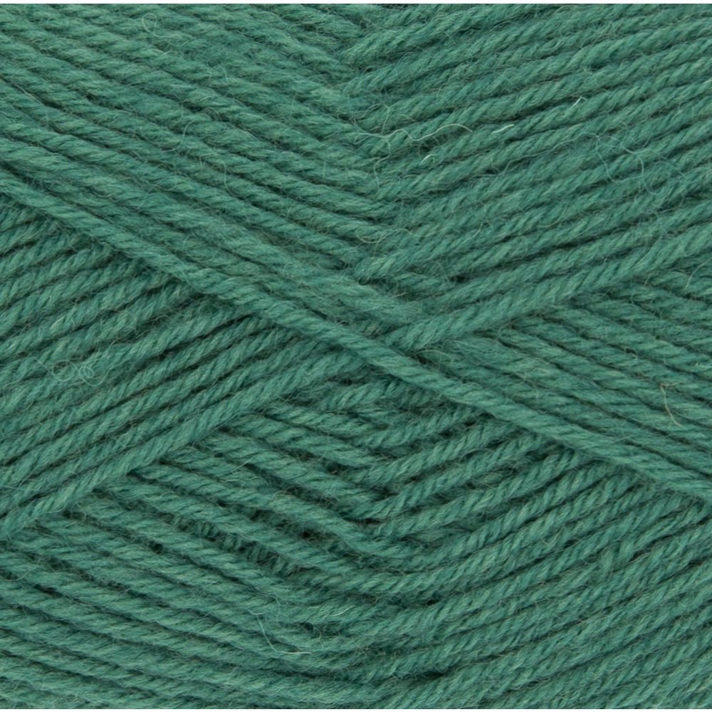 Garn Hot Socks uni 50 g tannengr&uuml;n image number 1