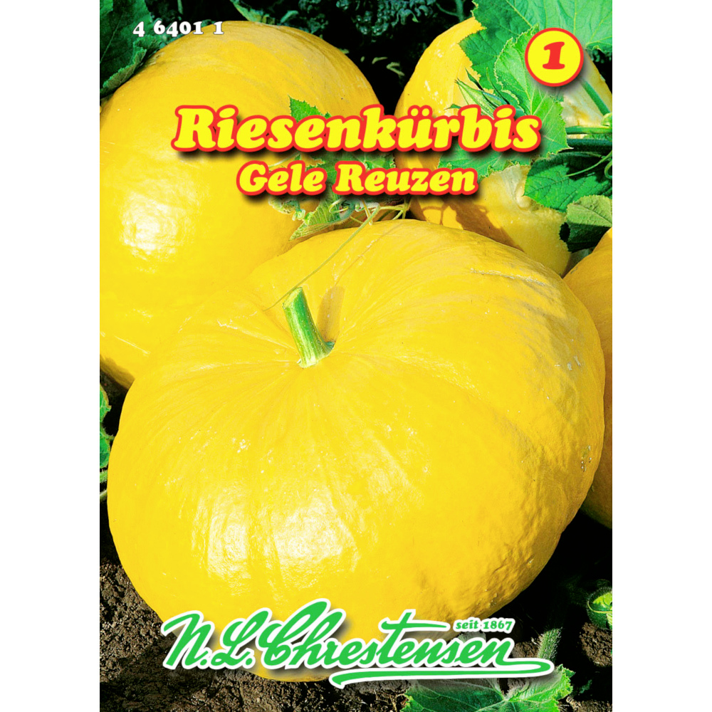 Saatgut Riesenkürbis gelb ca. 3 – 5 Pflanzen