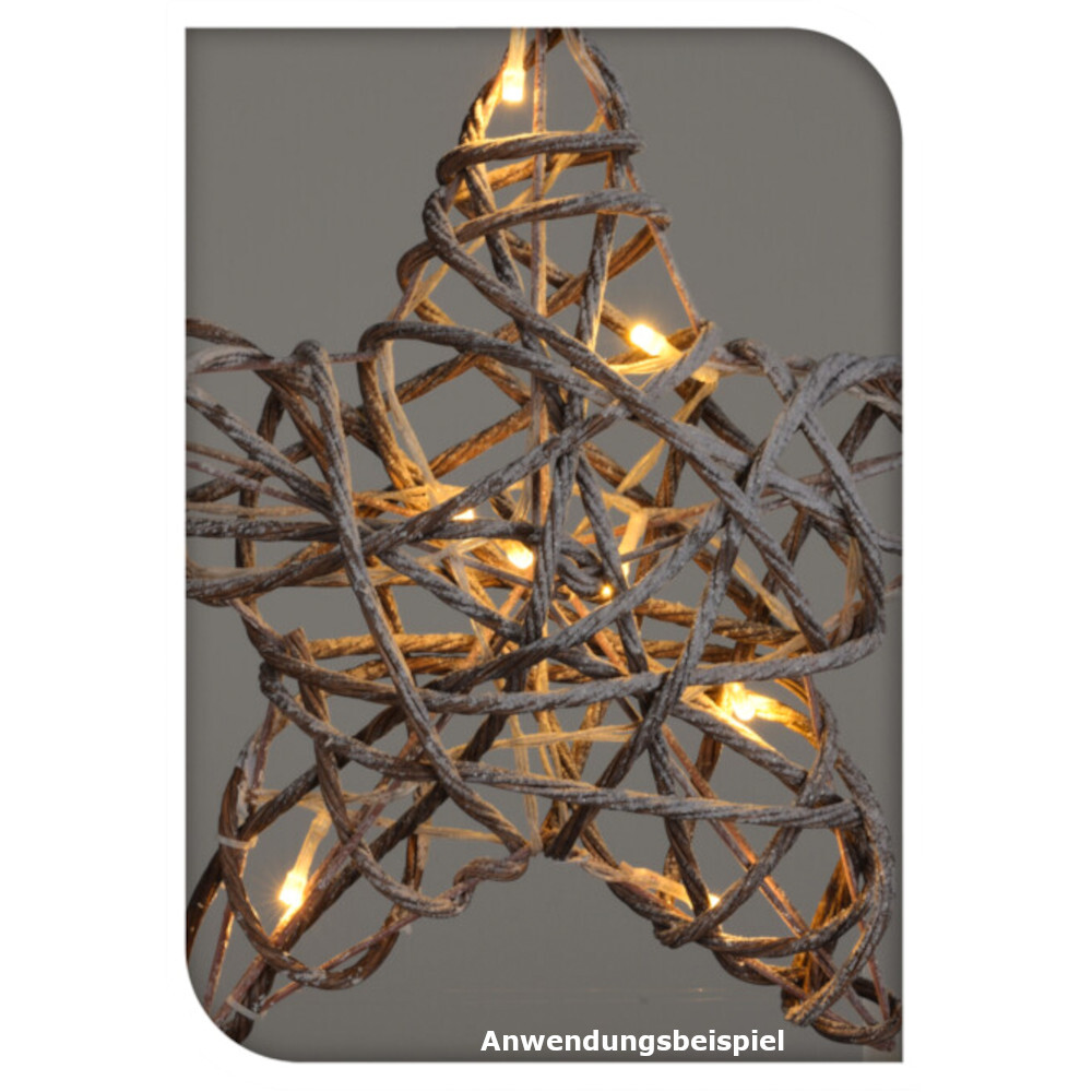 LED-Weidestern aus Kunststoff mit 10 LEDs und Timerfunktion image number 1