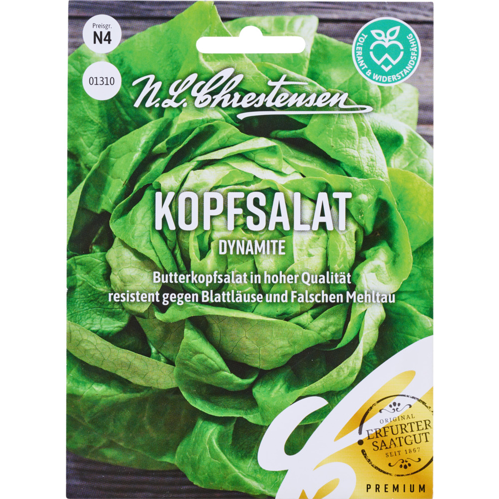 Saatgut Kopfsalat Dynamite image number 0