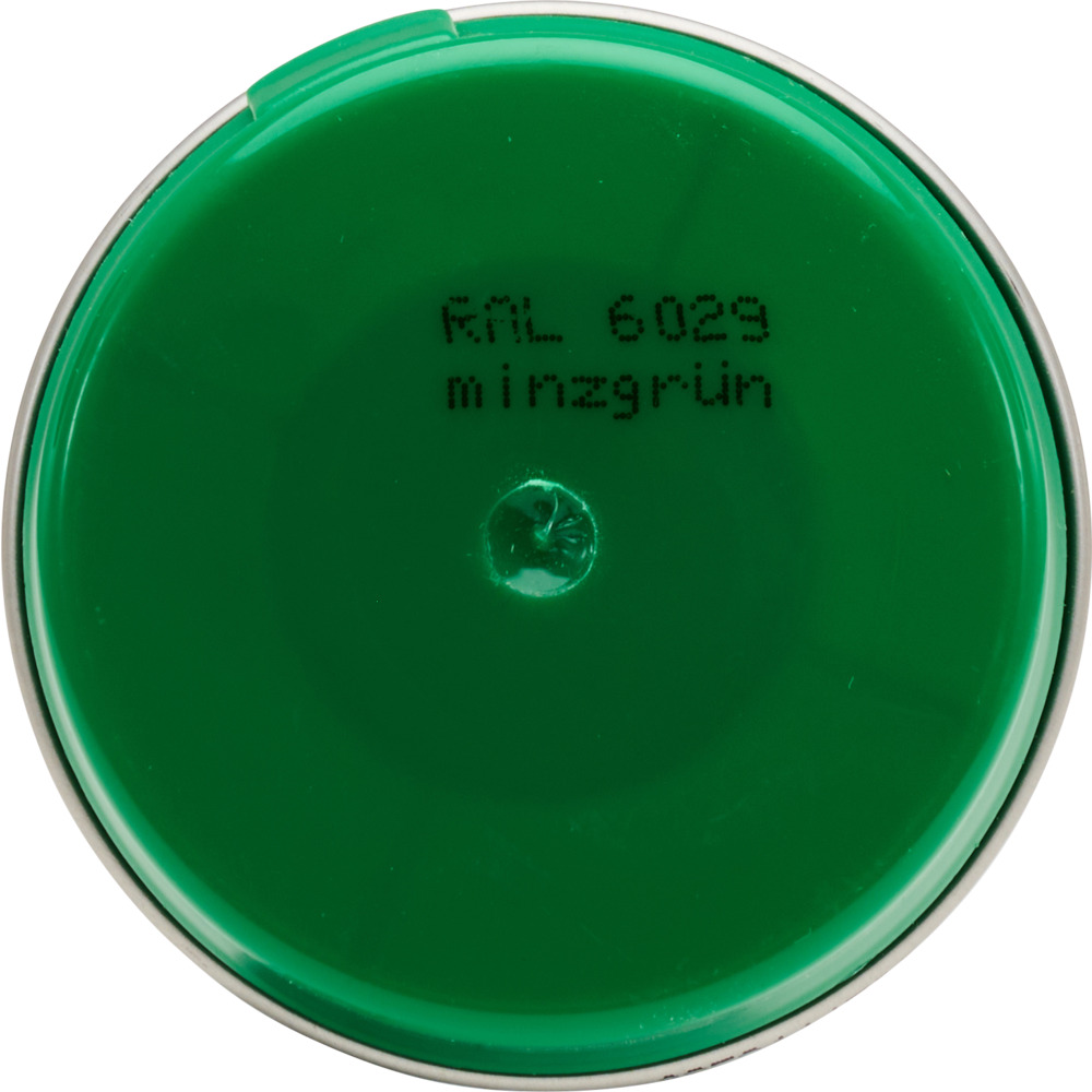 Lackspray gl&auml;nzend 400 ml Acryl RAL6029 Minzgr&uuml;n image number 2