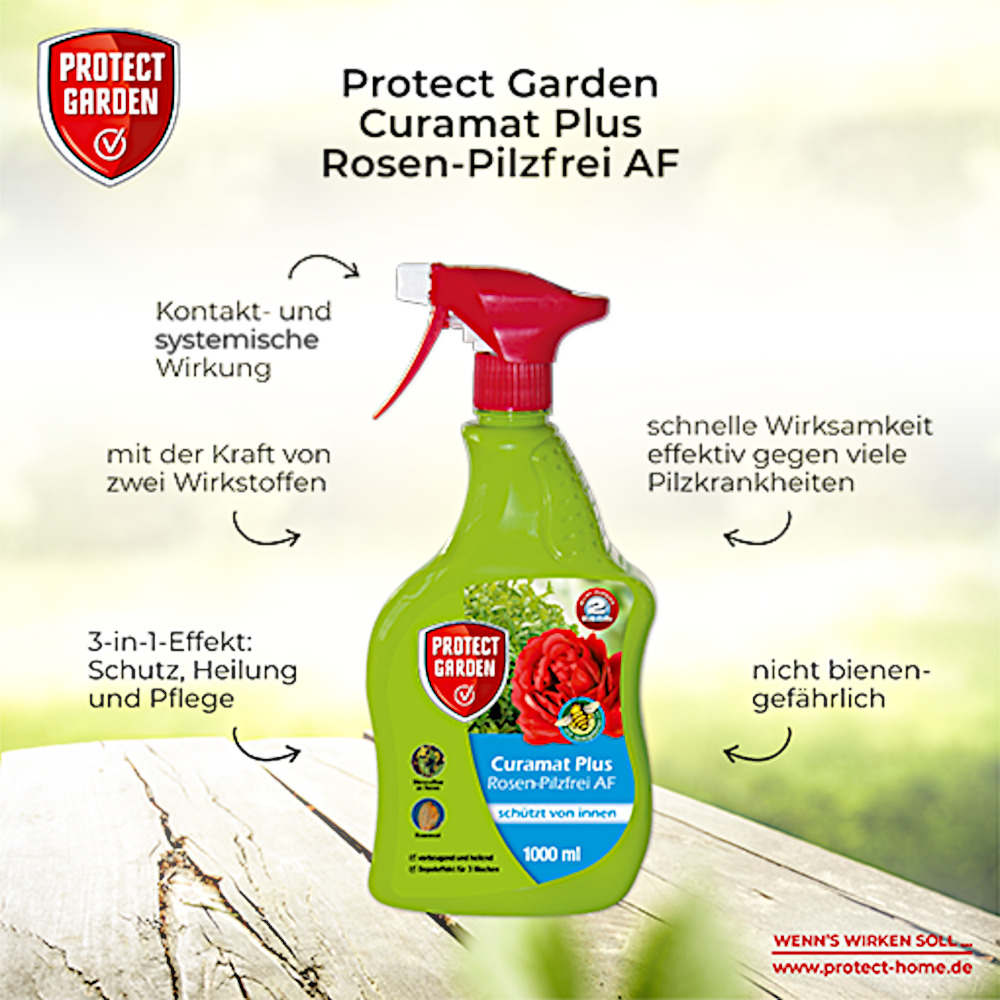 Rosen Pilzfrei Pflanzenschutzmittel image number 2