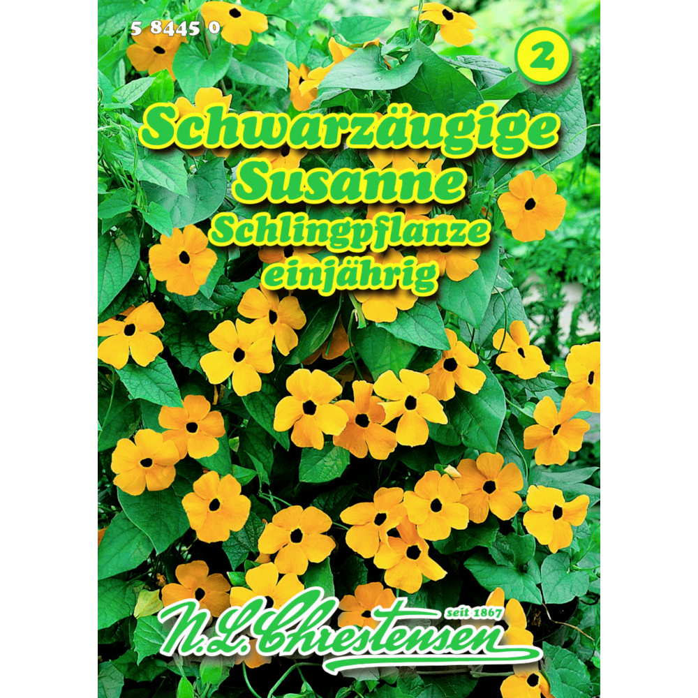 Saatgut Schwarzäugige Susanne ca. 12-15 lfd. Meter image number 0