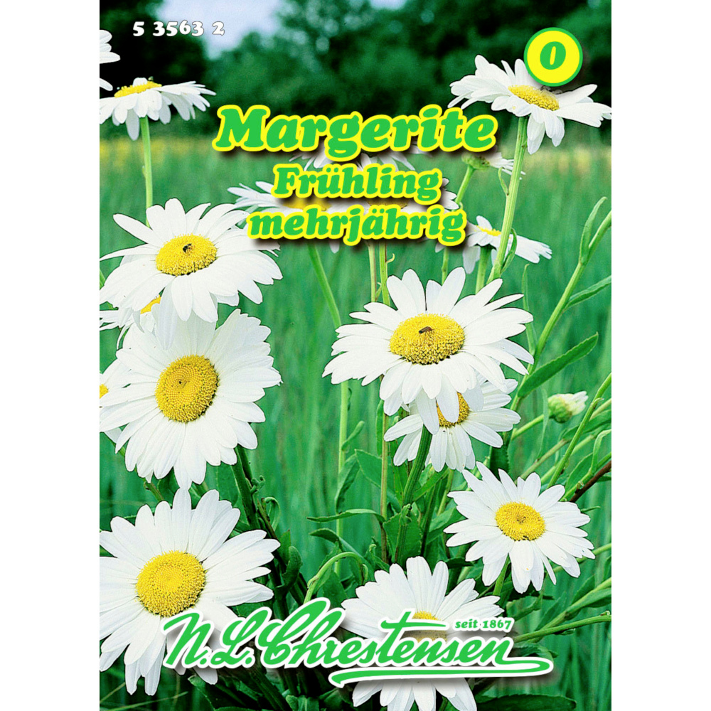 Saatgut Margerite ca. 80 Pflanzen image number 0