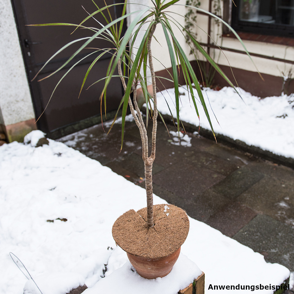 Mulchscheibe Ø 25 cm aus Kokosfilz image number 1