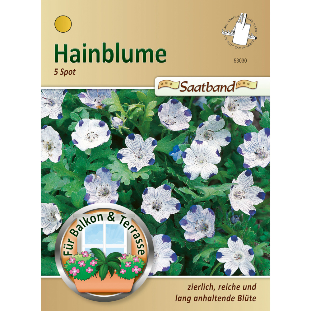 Saatband Hainblume ca. 2 laufende Meter image number 0