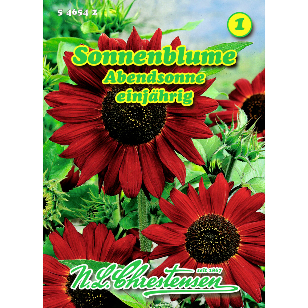 Saatgut Sonnenblume Abendsonne ca. 30 Pflanzen image number 0