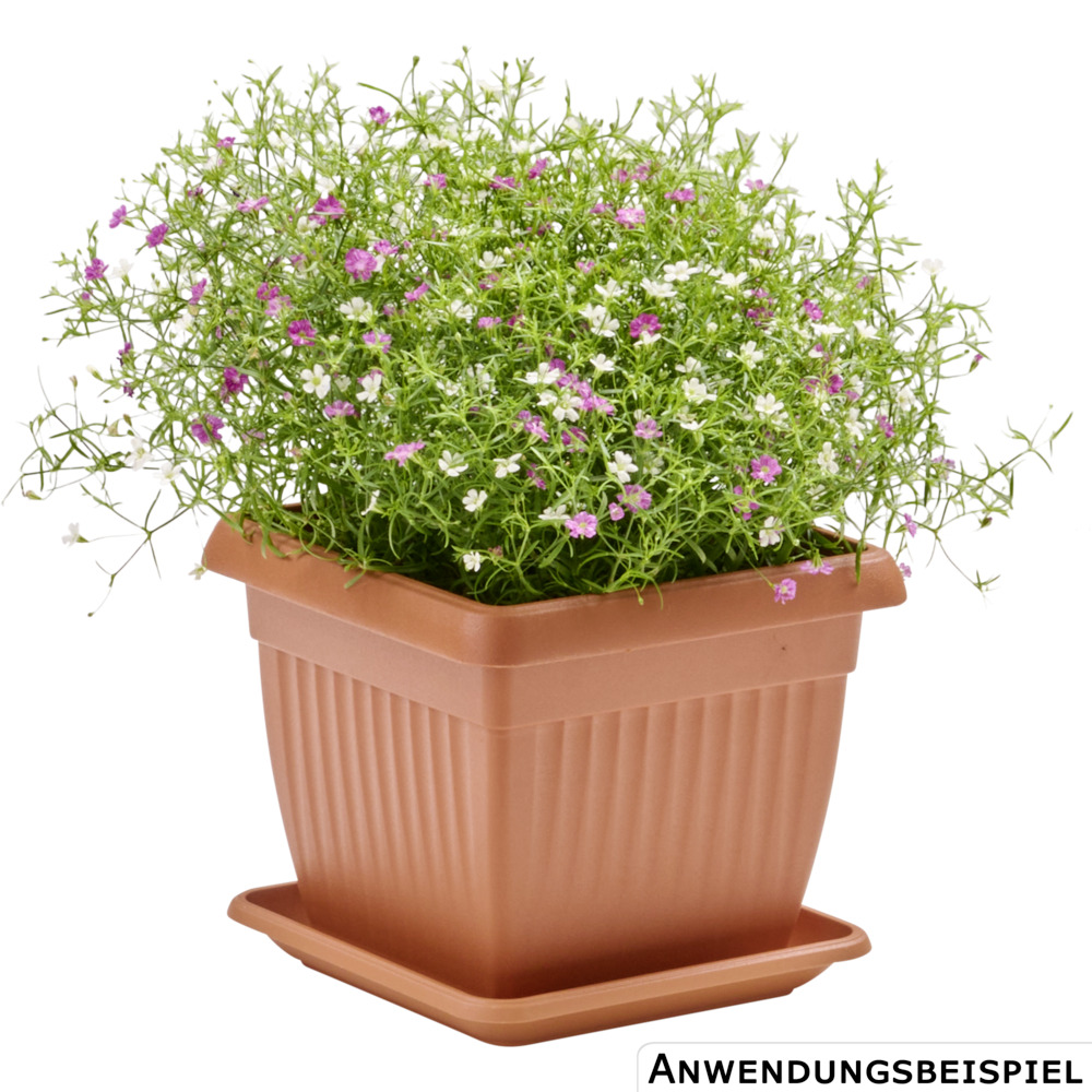 Prosperplast Blumentopf Terra eckig 15 x 15 cm in Terracotta image number 1