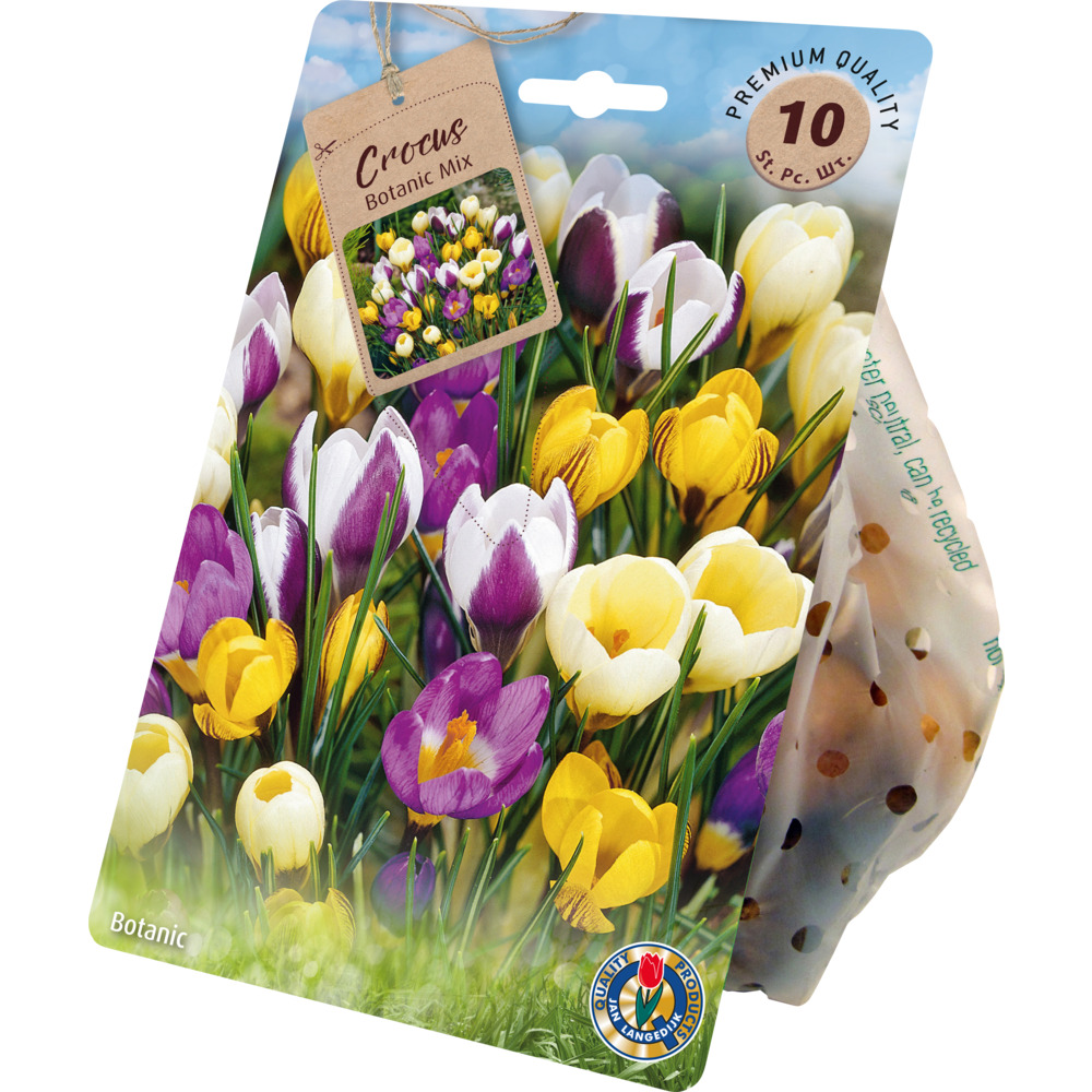 Blumenzwiebeln Krokus Mix 10 St&uuml;ck, mehrfarbig