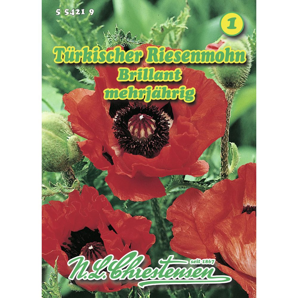Saatgut Türkischer Riesenmohn ca. 100 Pflanzen image number 0