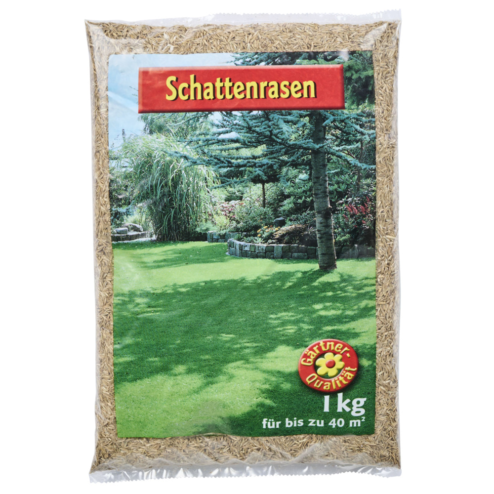 Schattenrasen Samen 1 kg Saatgut für 40 m² Rasenfläche image number 2