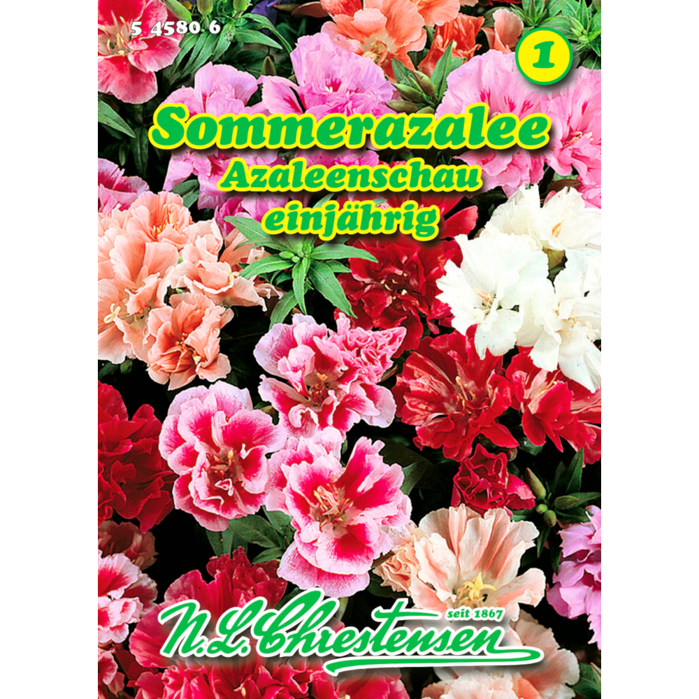 Saatgut Sommerazalee Mix gefüllt ca. 150 Pflanzen image number 0
