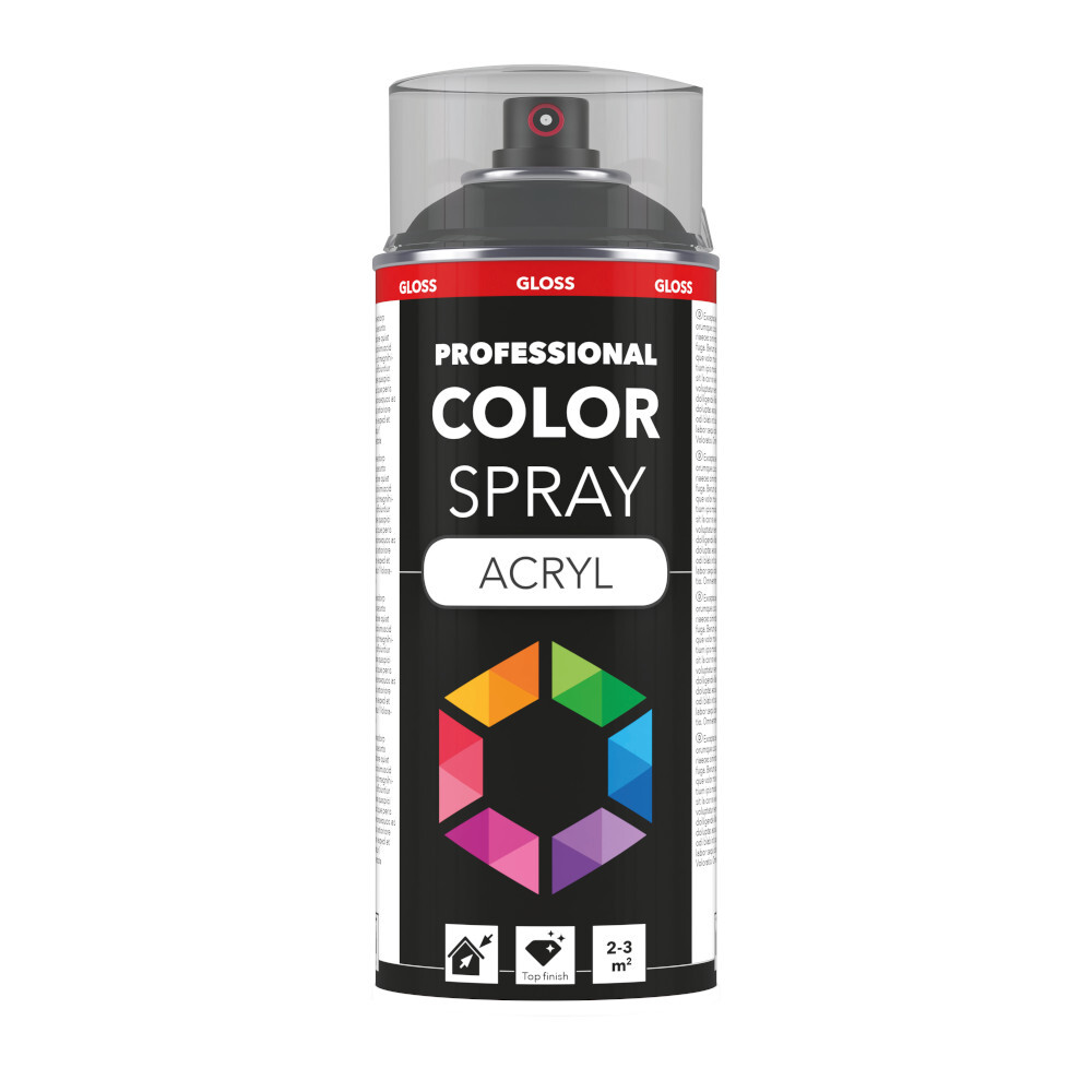 Profi-Spray hochglänzend Anthrazitgrau