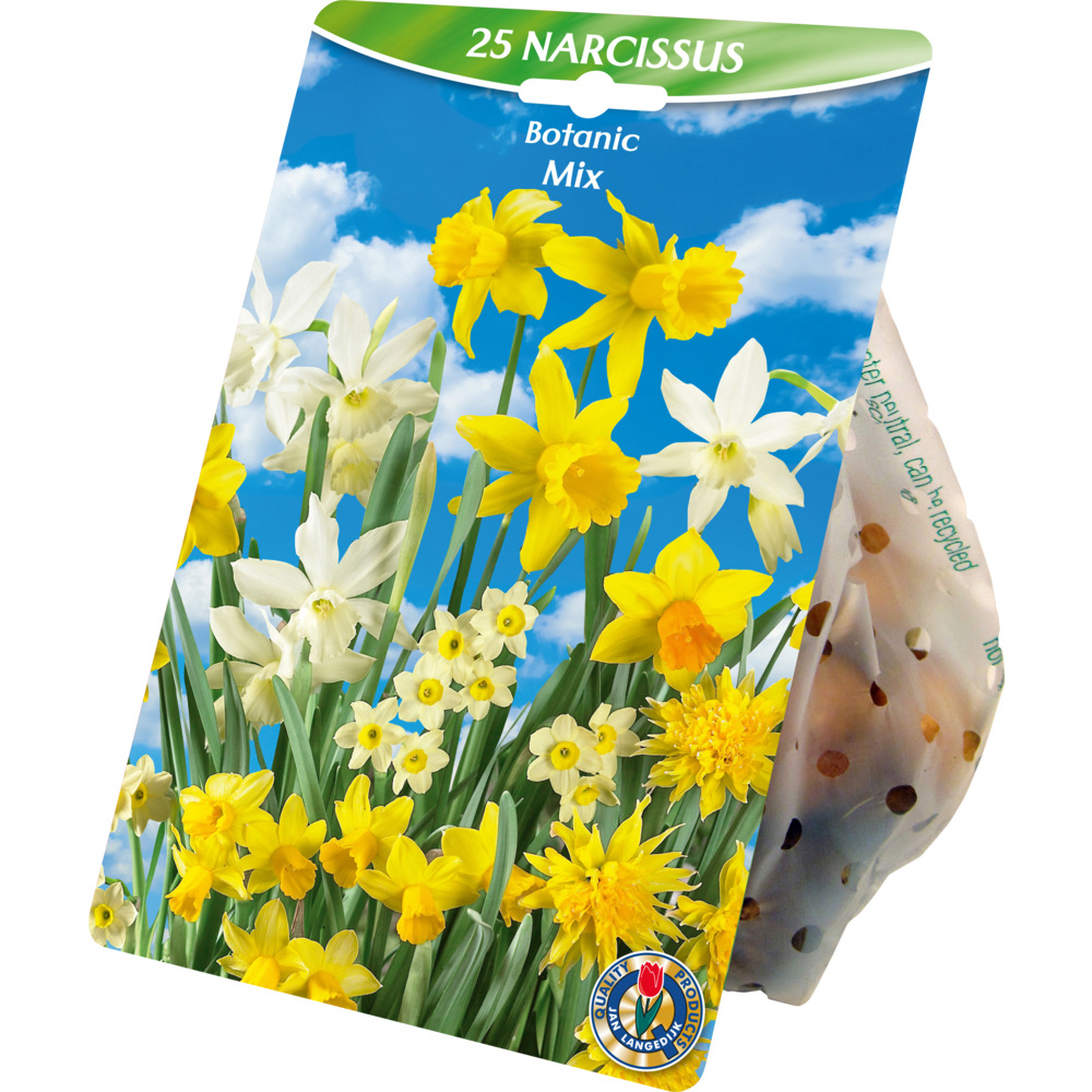 Blumenzwiebeln Narzissen Mix 25 St&uuml;ck mehrfarbig image number 0