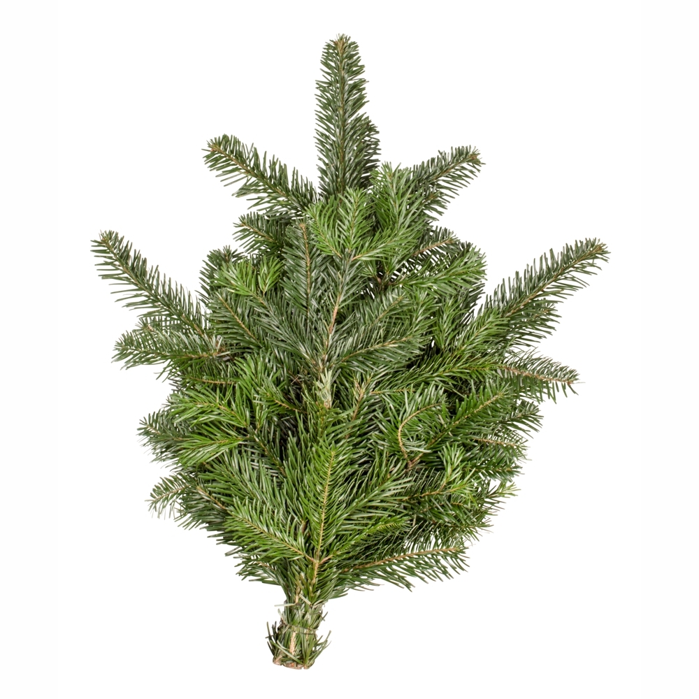 Handbund Nordmanntanne 500 g Weihnachtsdekorationen Winterschutz
