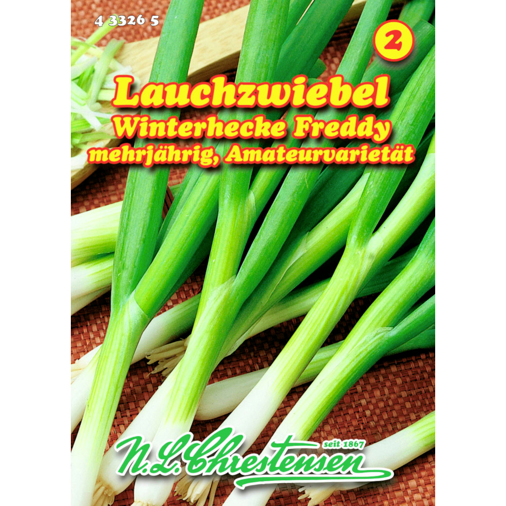 Saatgut Lauchzwiebel ca. 3 laufende Meter image number 0