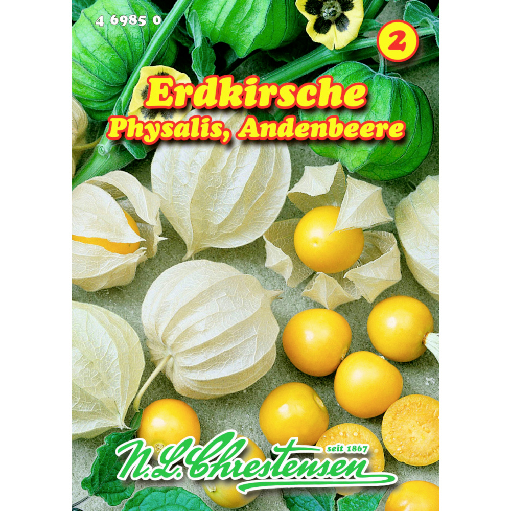 Saatgut Andenbeere Erdkirsche ca. 50 Pflanzen image number 0