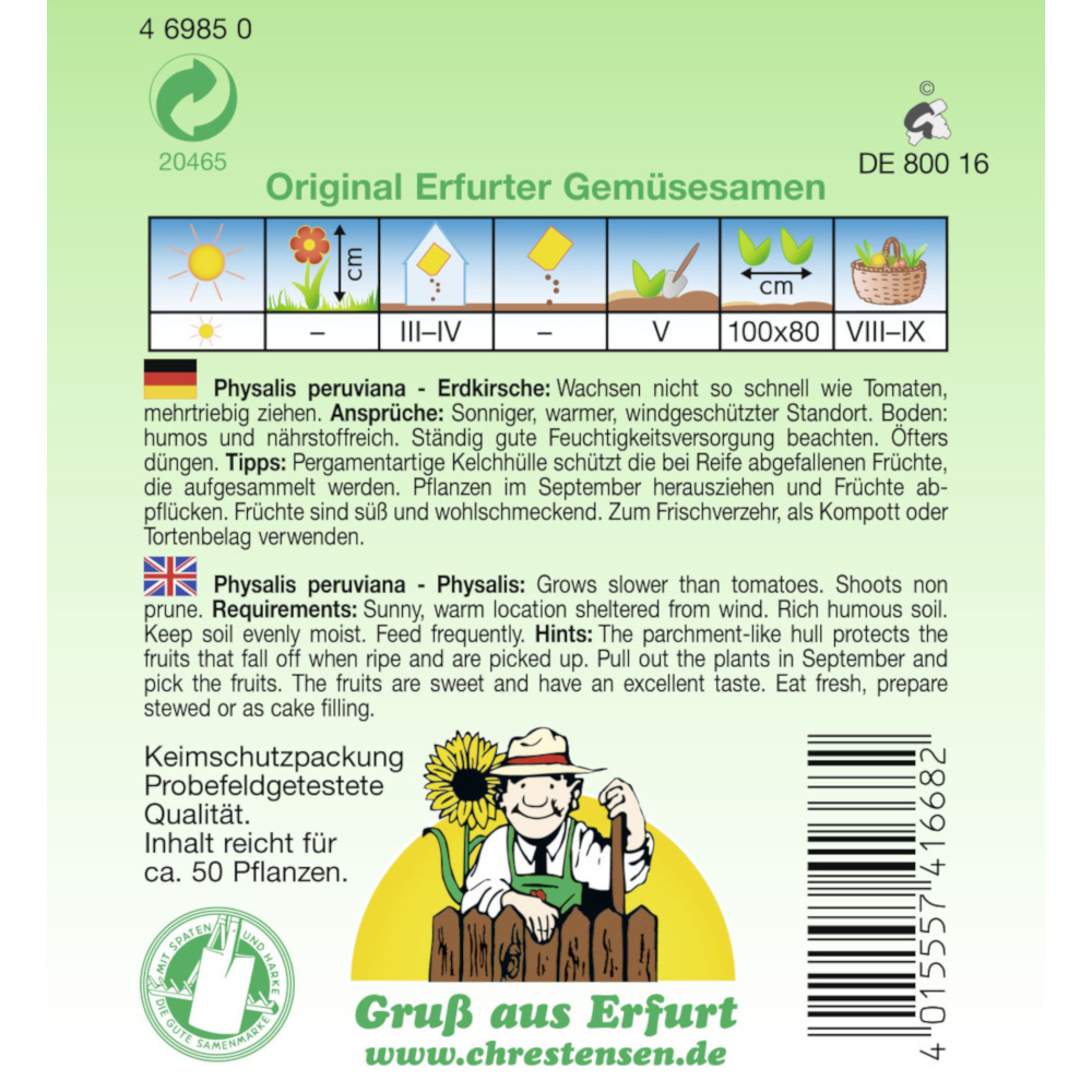Saatgut Andenbeere Erdkirsche ca. 50 Pflanzen image number 1