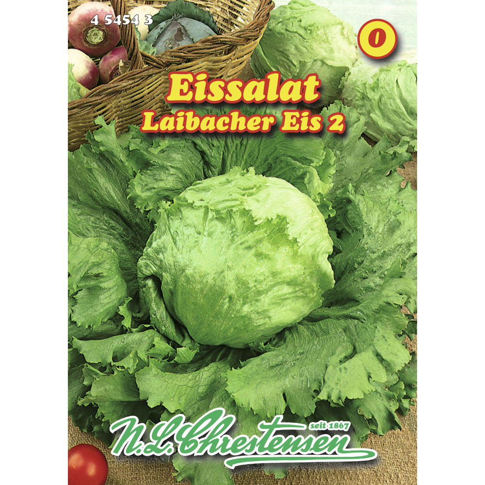 Saatgut Eissalat Laibacher Eis ca. 200 Pflanzen | Sonderpreis Baumarkt