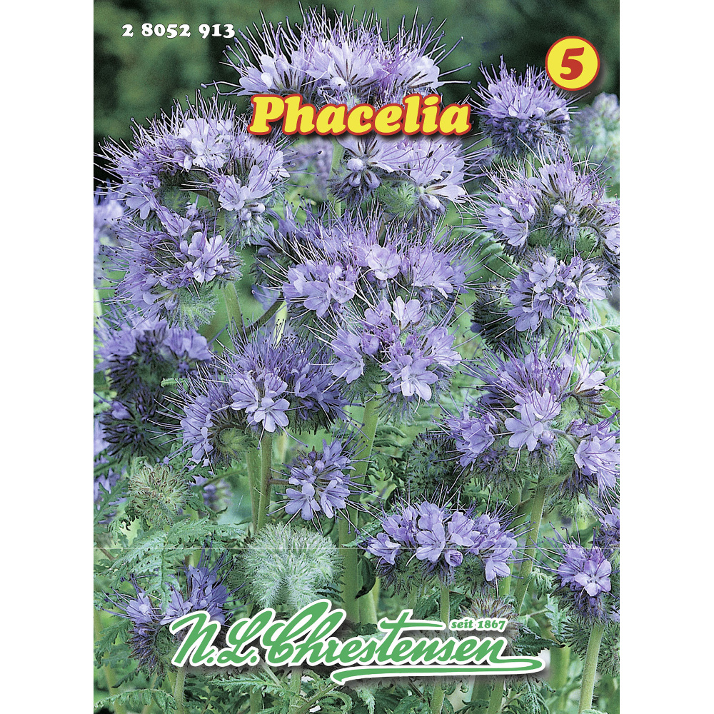 Saatgut Phacelia ca. 10 m² image number 0