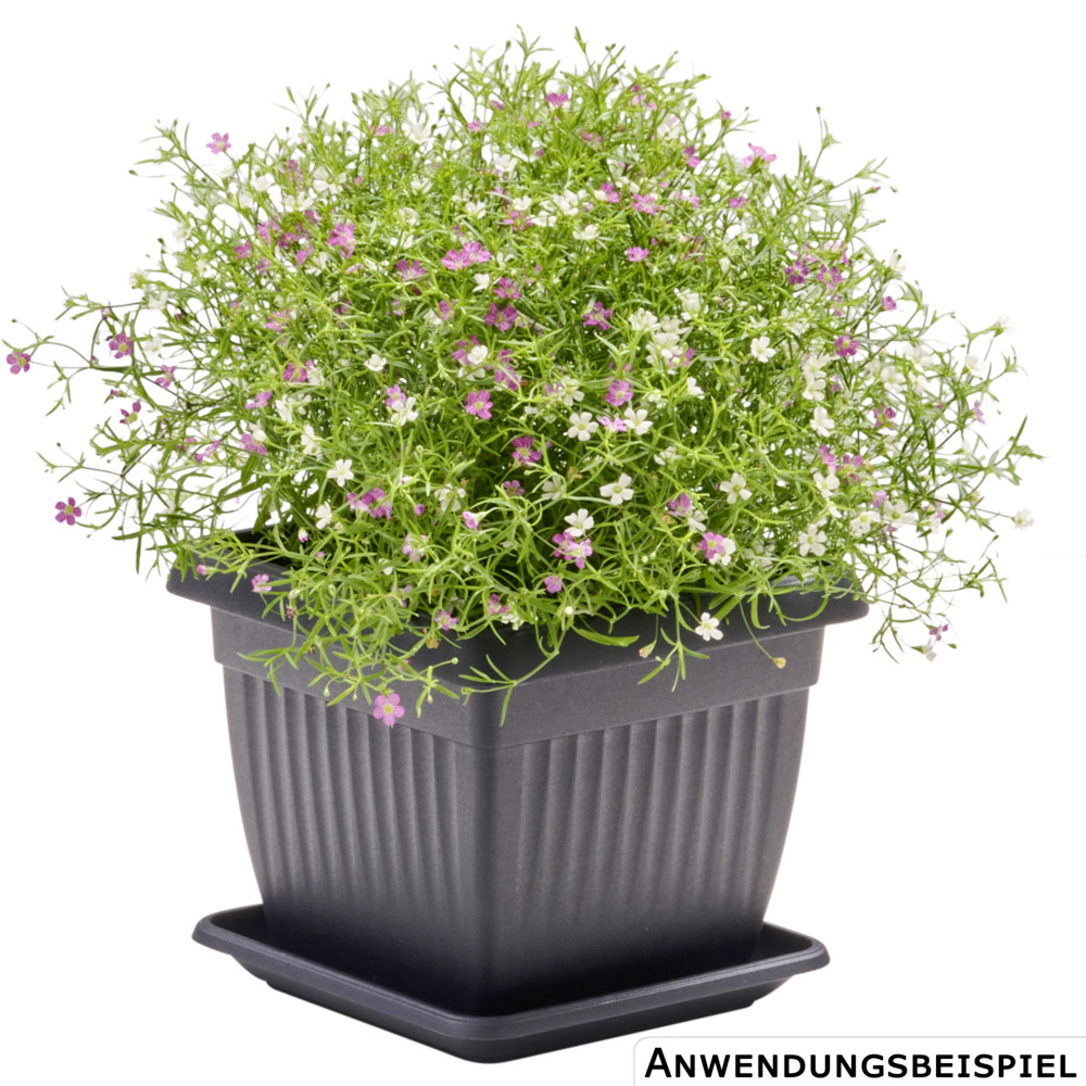 Prosperplast Blumentopf Terra eckig 45 x 45 cm in Anthrazit image number 1