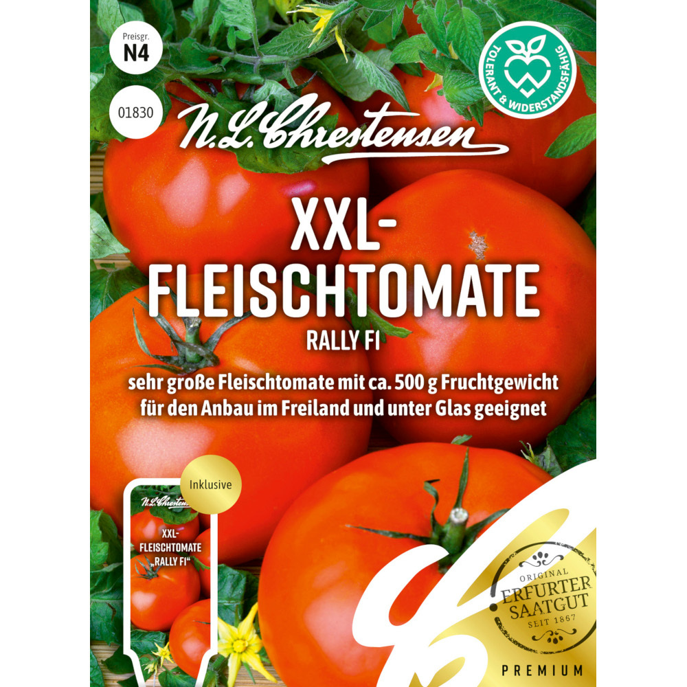 Saatgut XXL-Fleischtomate Rally F1 für ca. 8 Pflanzen image number 0