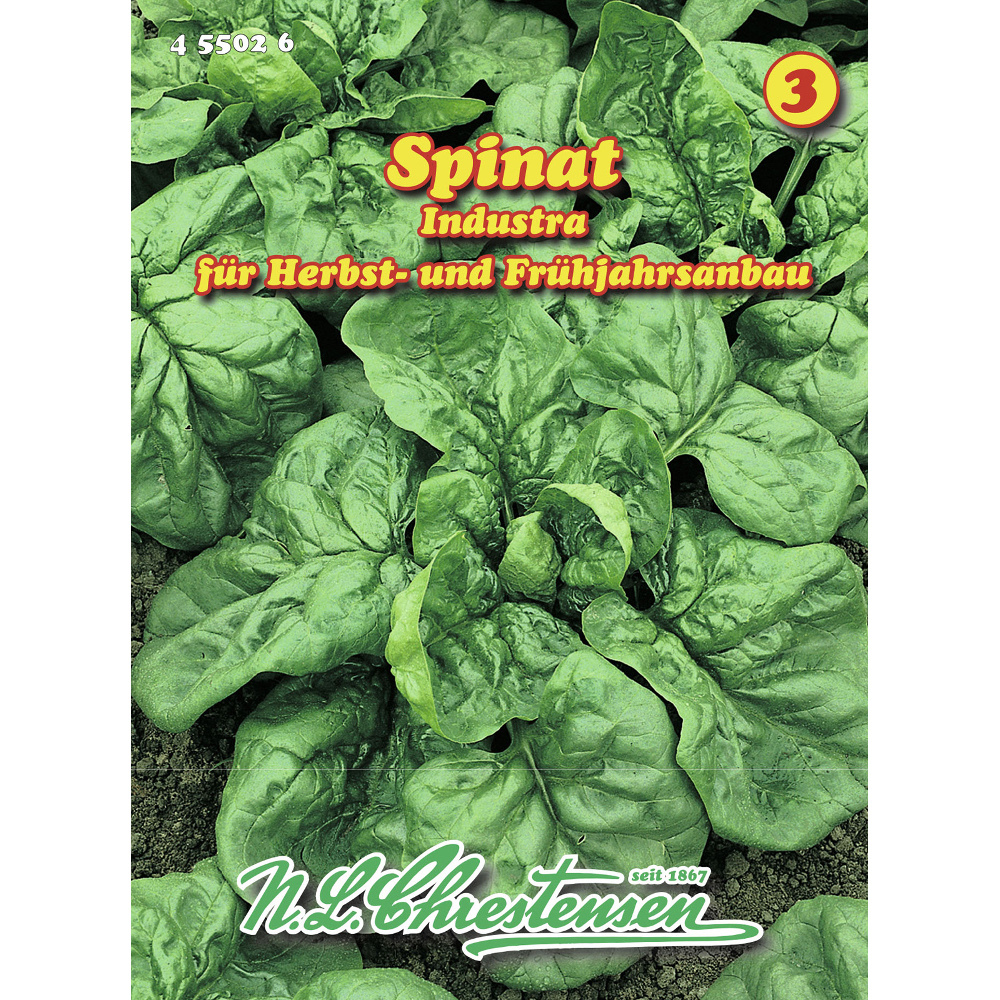 Saatgut Spinat Industra ca. 20 laufende Meter image number 0