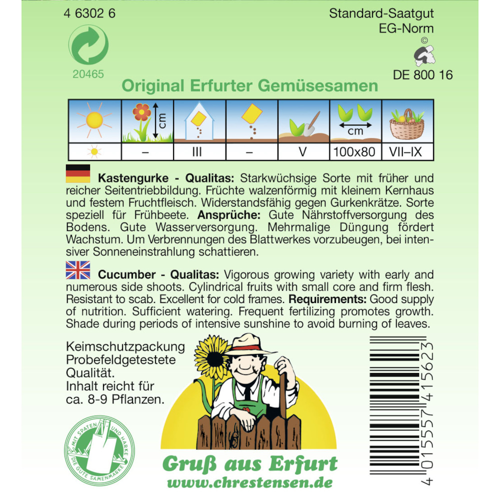 Saatgut Kastengurke Qualitas ca. 8-9 Pflanzen image number 1