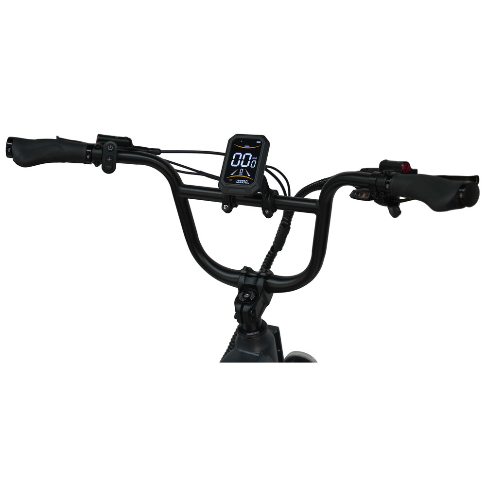 Off-Road E-Bike Maxtron "Camel" 20" dunkelgrau image number 4