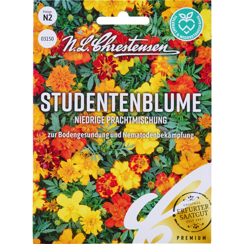 Saatgut Studentenblume image number 0
