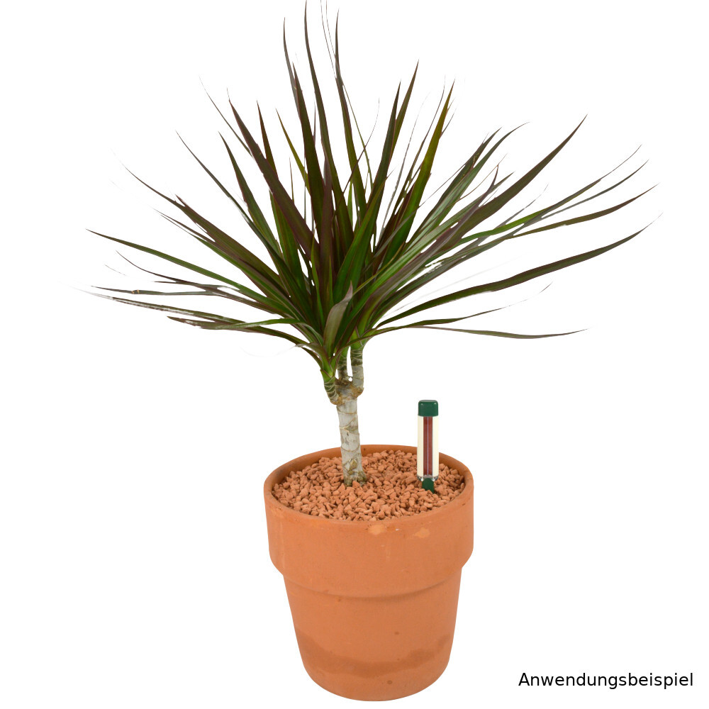 Seramis® Gießanzeiger 16 cm je 2 Stück im Set für den Innenbereich image number 1