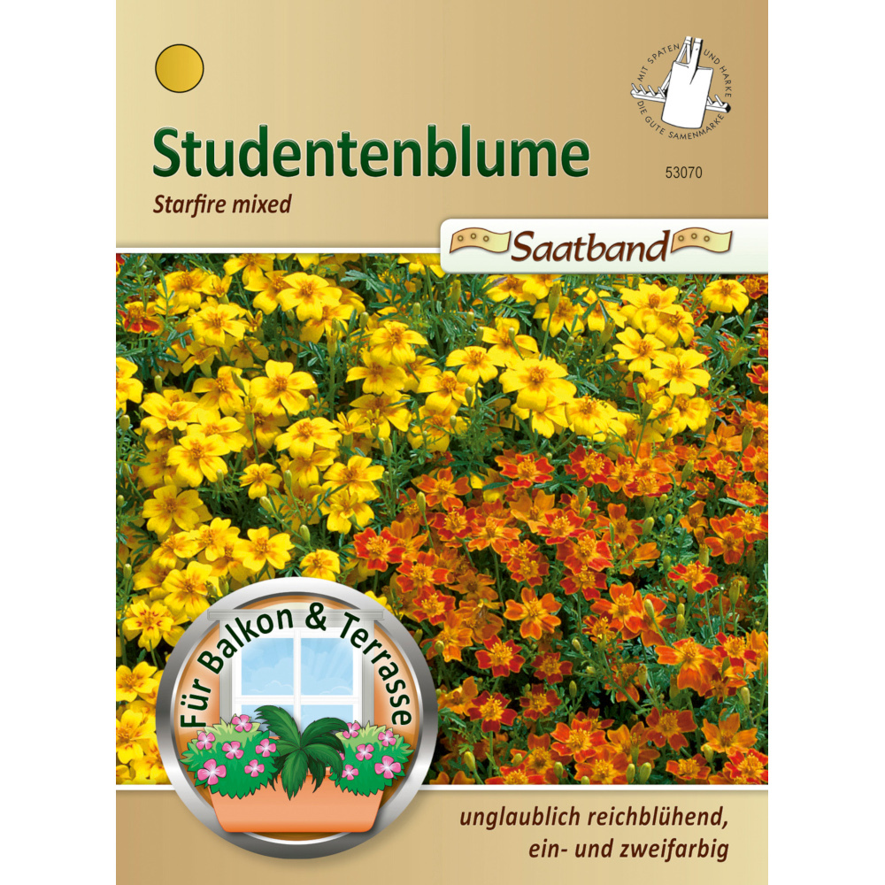 Saatband Studentenblume Mix ca. 2 laufende Meter image number 0