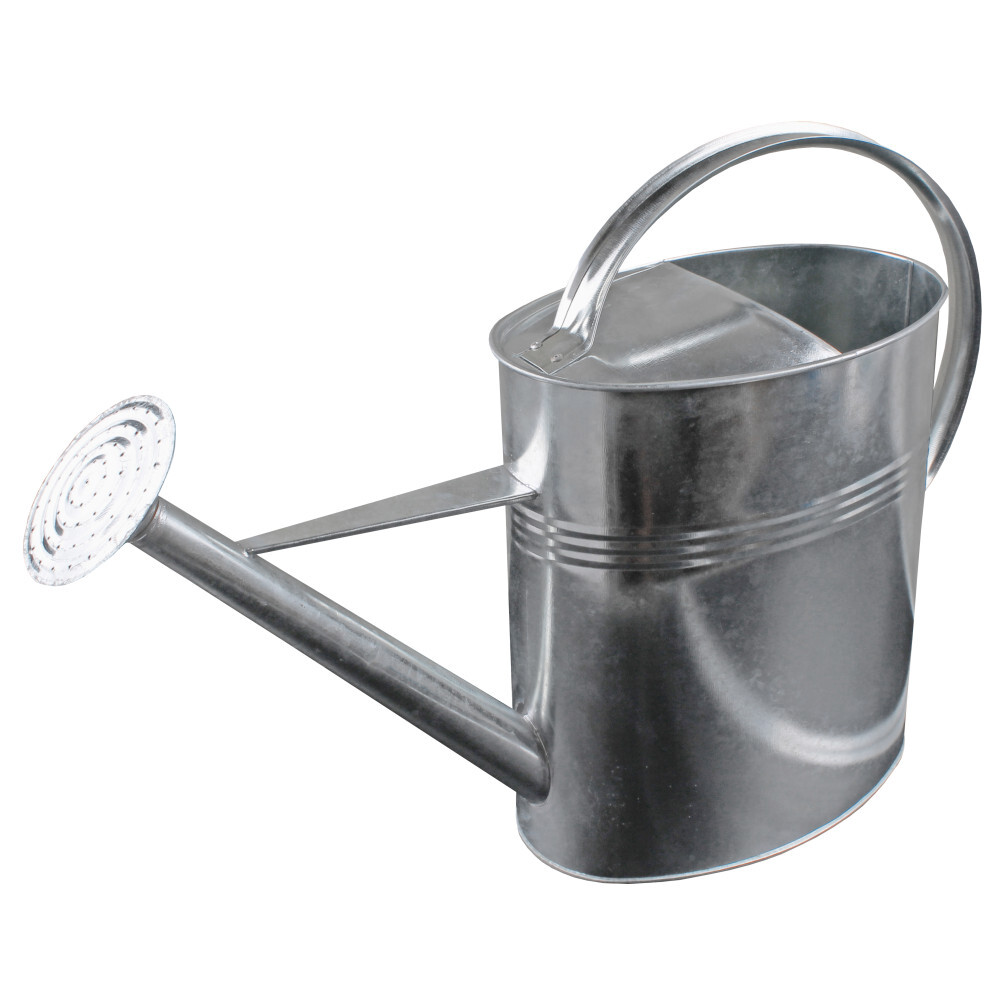 Gießkanne 10 Liter mit Brausekopf