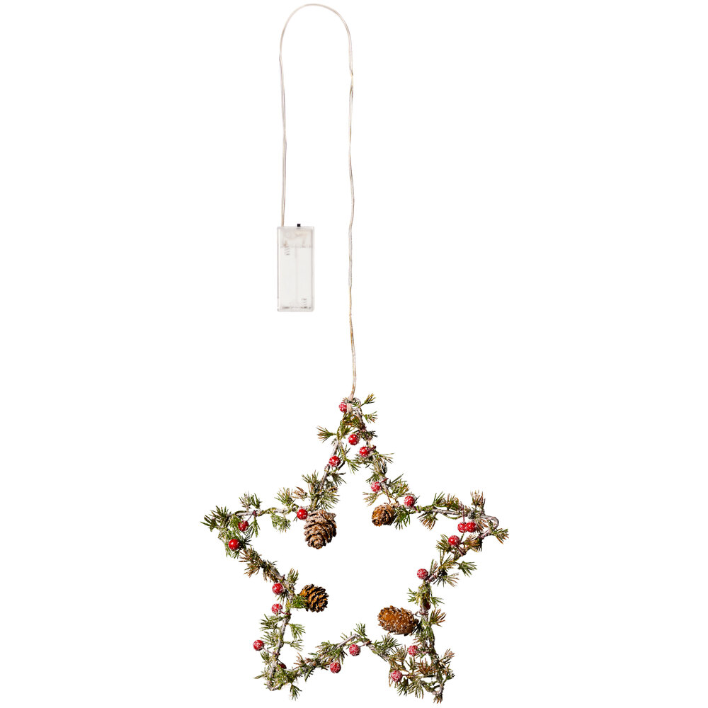 LED-Tannenstern zum Hängen image number 1