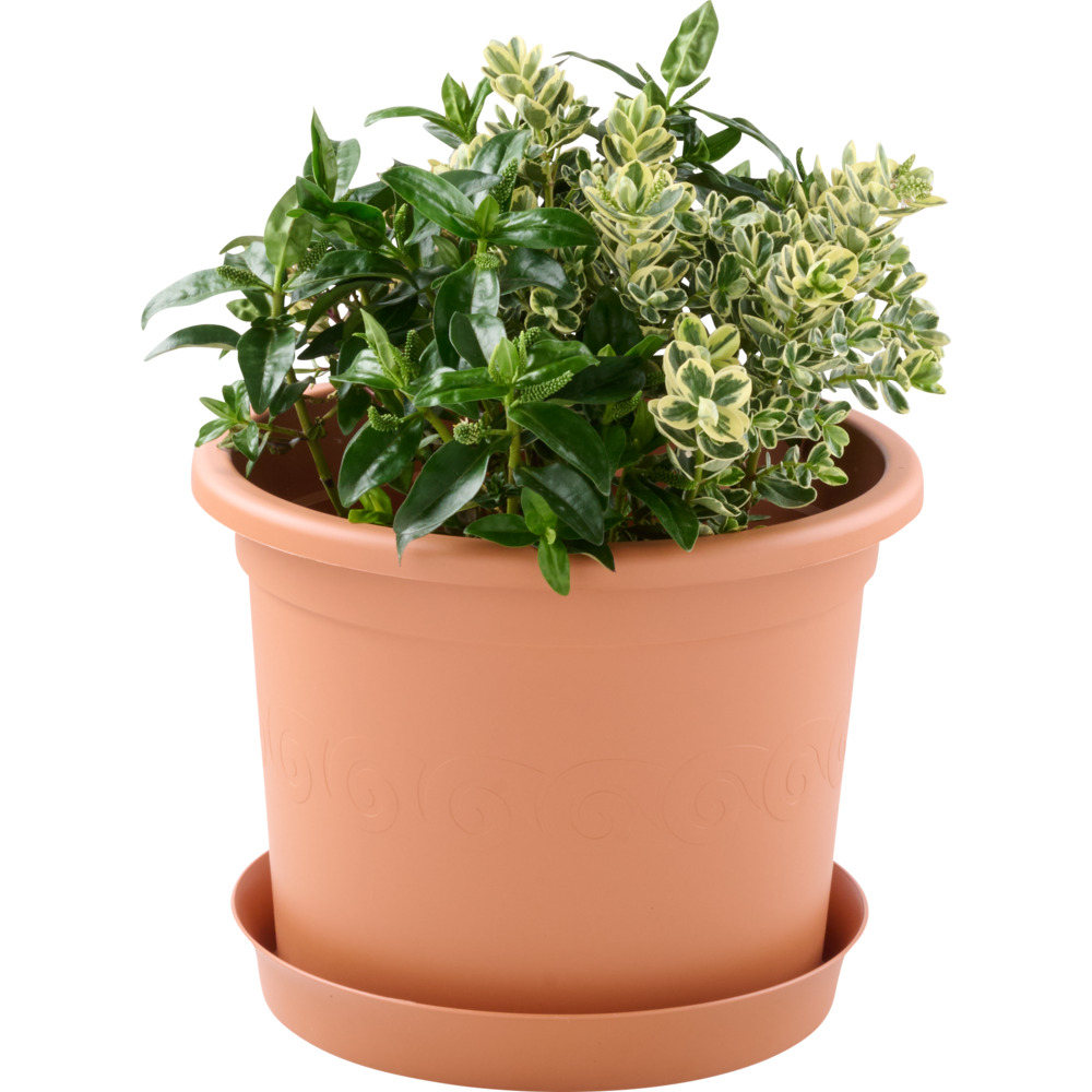 Prosperplast Blumentopf Plastica Ø 40 cm in terracotta image number 1