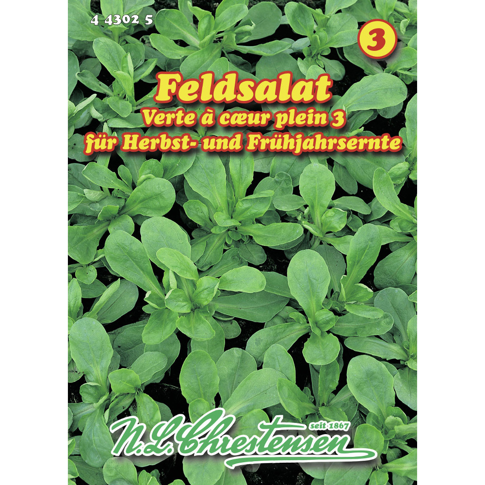 Saatgut Feldsalat ca. 6-8 laufende Meter image number 0