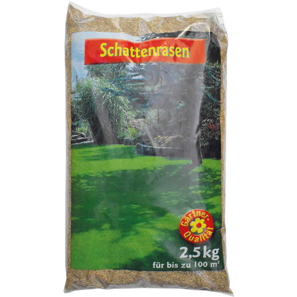 Schattenrasen Samen 2,5 kg Saatgut f&uuml;r 100 m&sup2; image number 0