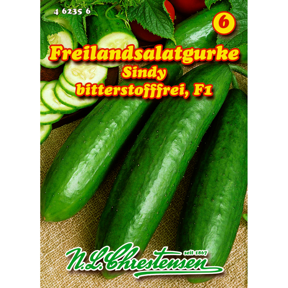 Saatgut Freilandsalatgurke Sindy ca. 8-10 Pflanzen image number 0