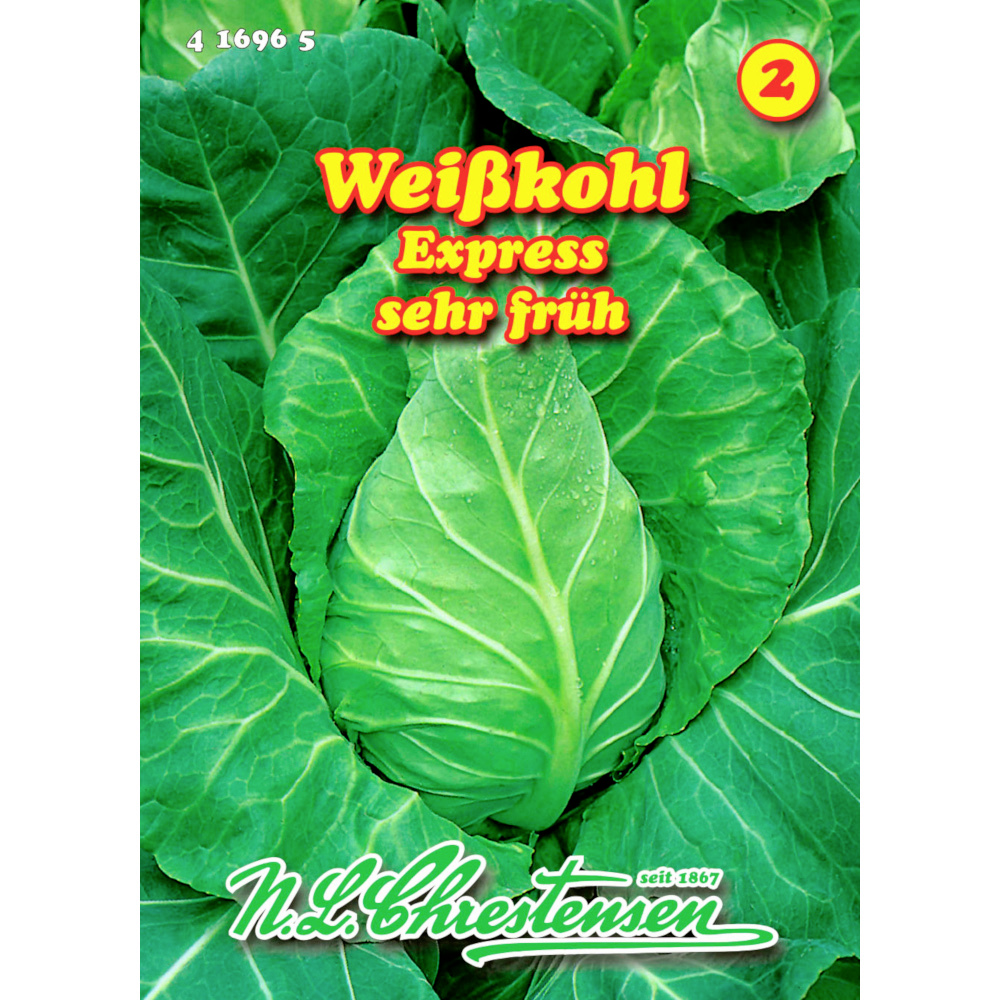 Saatgut Weißkohl Express Spitzkohl ca. 120 Pflanzen