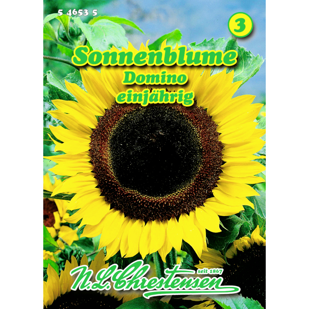 Saatgut Sonnenblume Domino ca. 25 Pflanzen